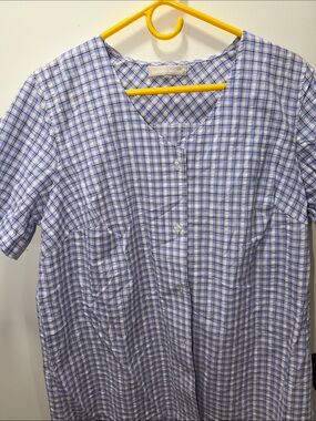 Woman Within Light Blue and White Checked Short-Sleeve Shirt